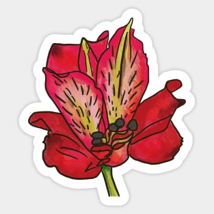 Alstroemeria Sticker